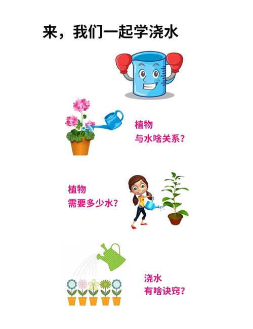 浇水不是按天算,是按需给