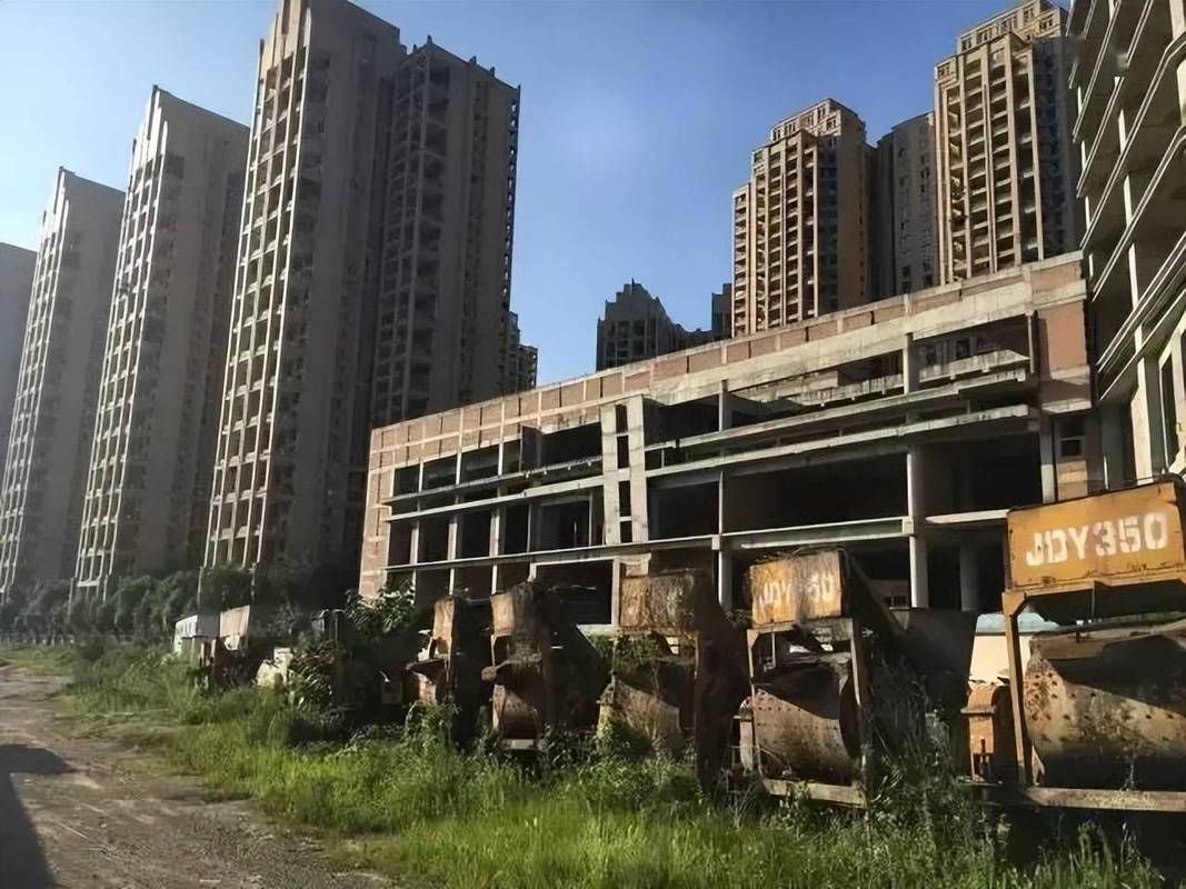 烂尾楼业主手持购房合同站在长满荒草的工地外
