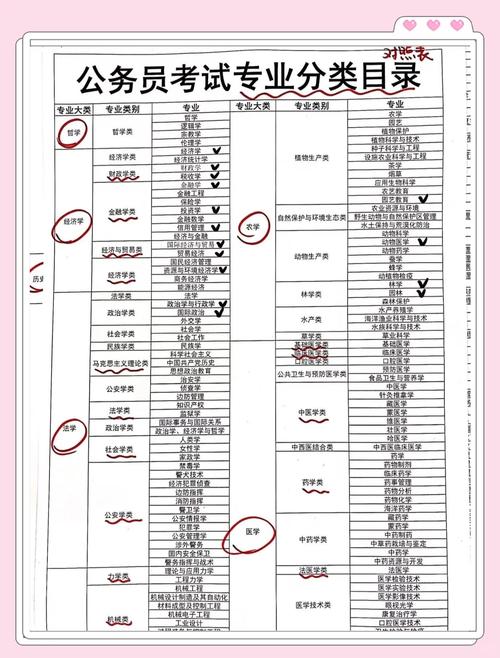 选择专业:别只盯着“有用”,想想“能用”
