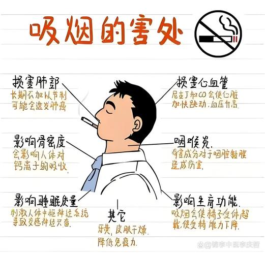 吸烟人群肺功能损伤进展示意图
