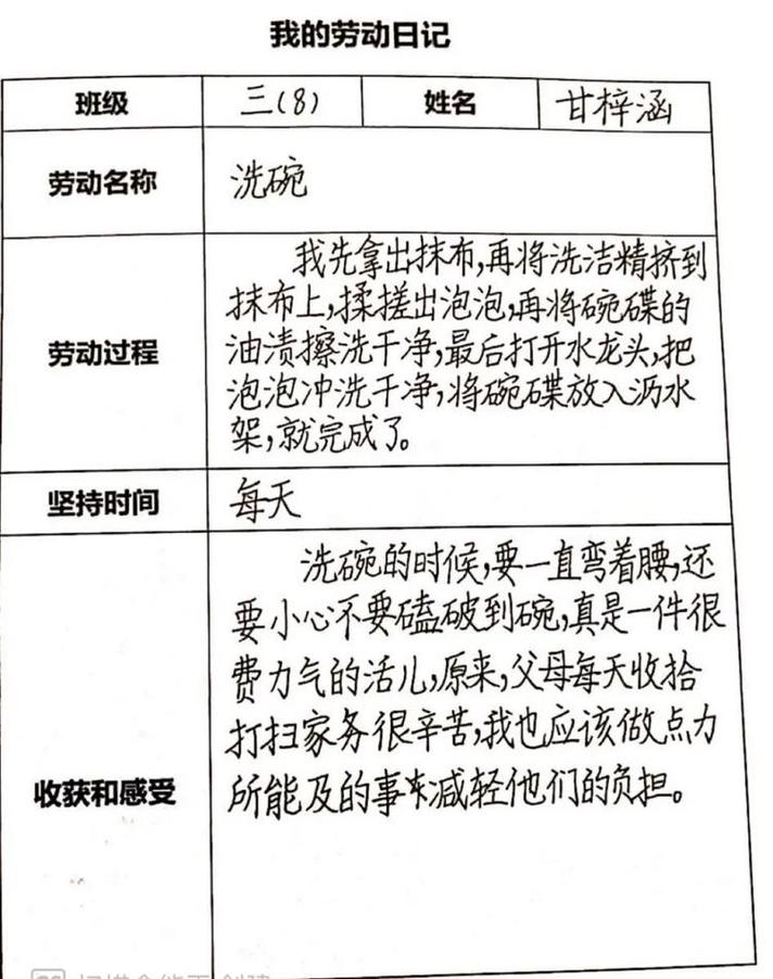 小学生劳动周记录档案视频截图