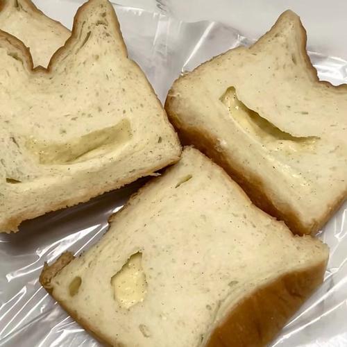 家用冰箱里发霉的吐司特写