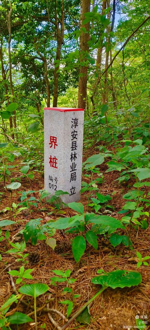 野外全国重点文保单位界桩实拍