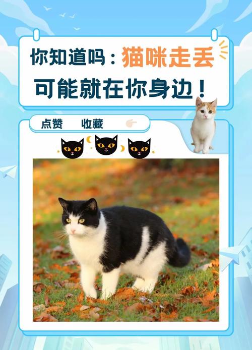 它其实就在你我身边