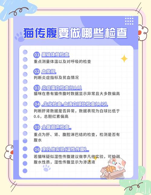 猫传腹早期症状排查记录表