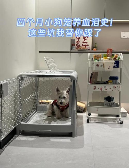 那些笼养踩过的坑,我帮你们挨个避了