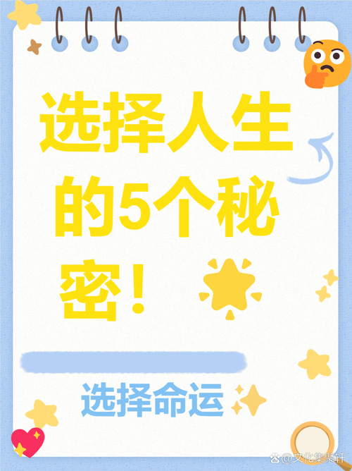 说说我现在的选择逻辑