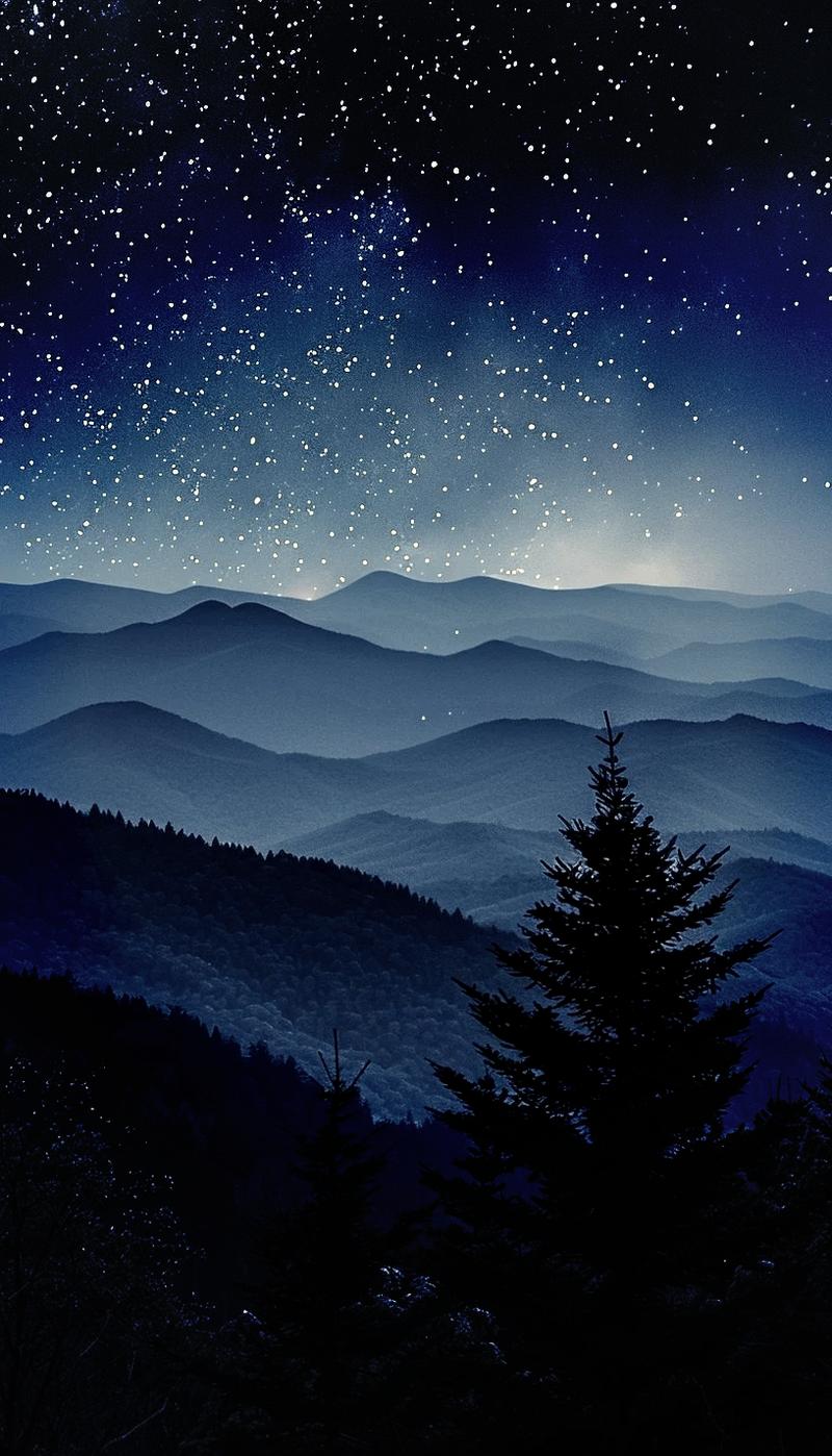 池州杉山深秋夜晚松林间的银河实景