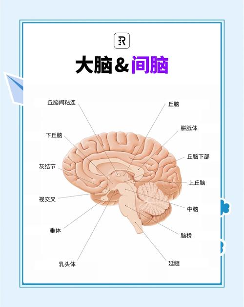 它是藏在幕后的生产线大脑