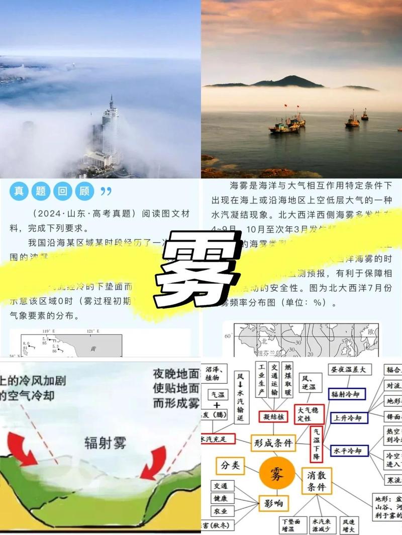 薄雾:一场温柔的遮蔽-因为所以