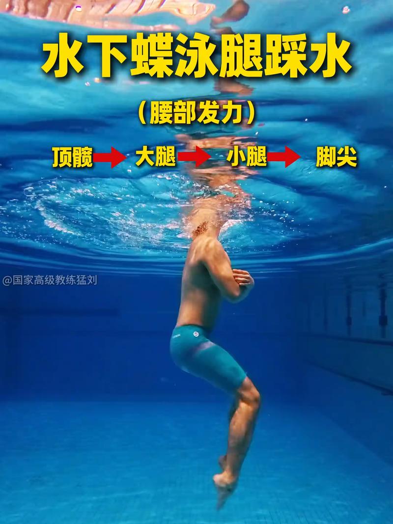 5. 蝶泳腿怎么练才能不累?