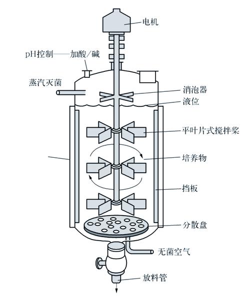 发酵罐内部卫生死角示意图