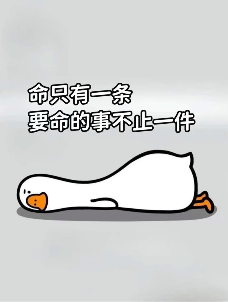 这行干久了,反而越来越怂