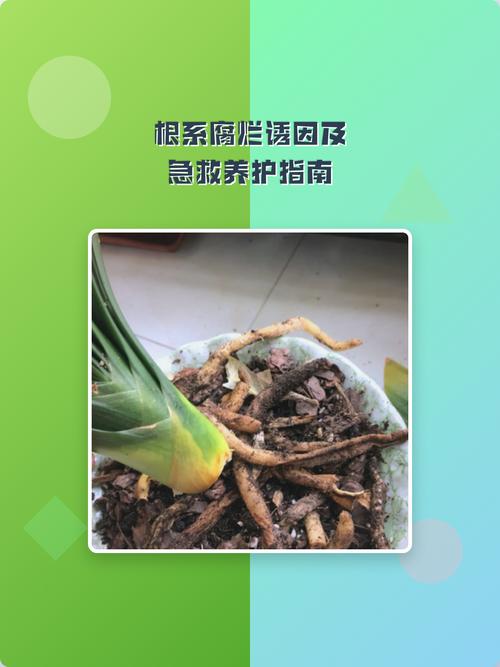 日常维护，很多人从根上就错了