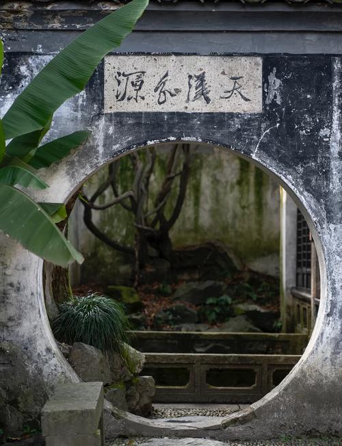 二、青藤书屋：残碑与藤影的私语