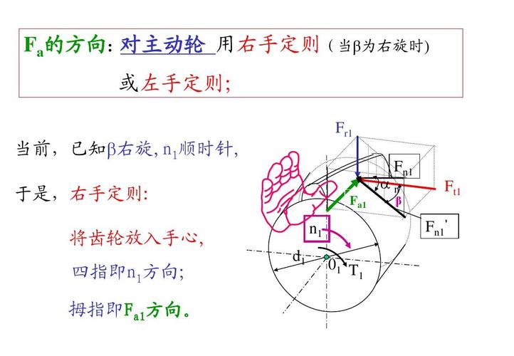 斜齿轮左右旋向轴向力方向示意图