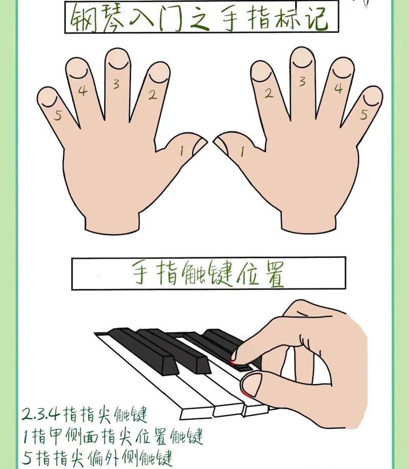 成年人初学钢琴手指摆位特写