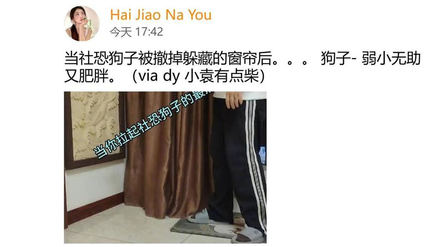 社恐狗狗躲在主人腿后回避其他狗场景