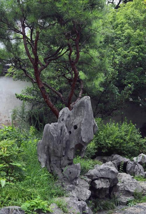 苏州沧浪亭复廊旁湖石假山覆着青苔的局部