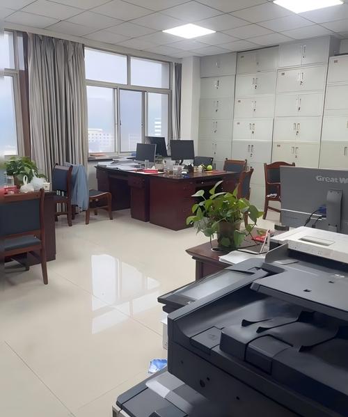 编制内基层工作人员办公室办公场景