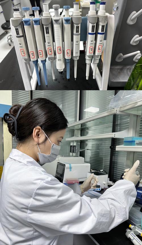 科研成果这玩意儿,有时候就像撞大运