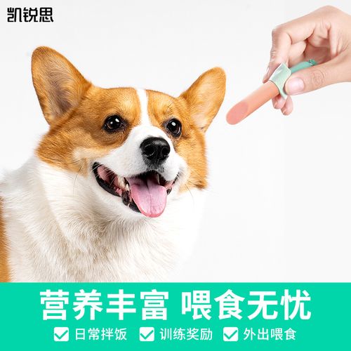 主人给接触新事物的幼犬喂零食奖励