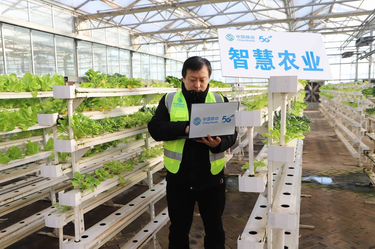 智慧农业技术接下来要走的坎：得踩着农民的痛点走