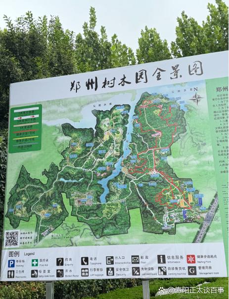公园规划的“隐藏菜单”:树多的地方,走路都带风