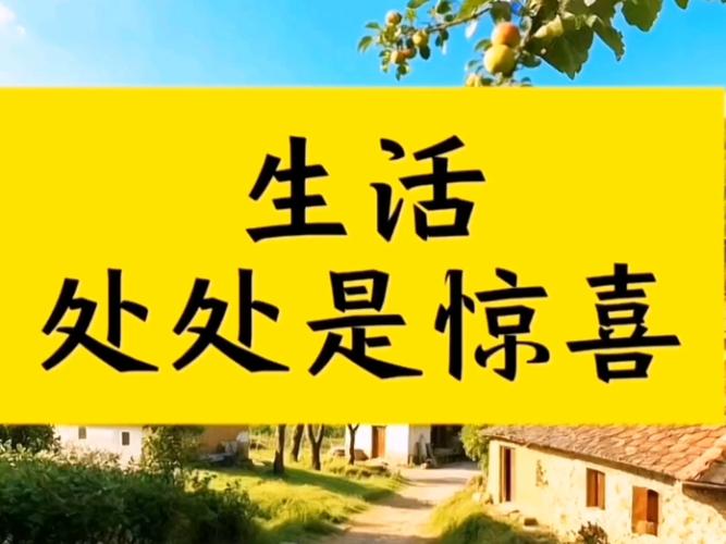原来生活的漏洞才长得出惊喜