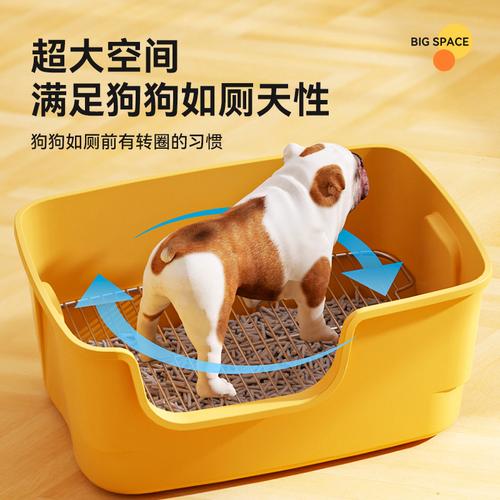 家庭室内狗狗定点排便尿盆摆放示意图
