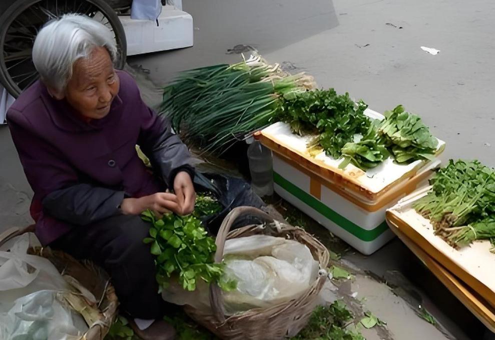 小区楼下老人买菜日常场景