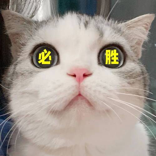 OEE不是用来考高分，是用来找问题的