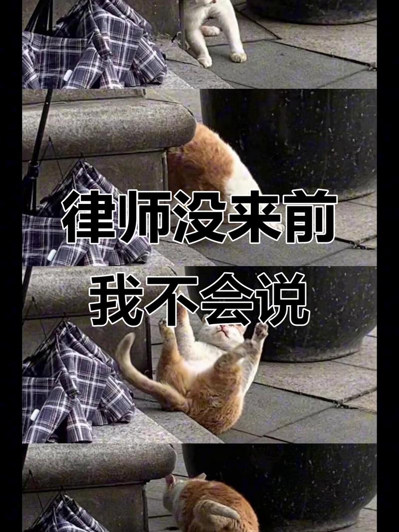不请律师，你确定想好了？