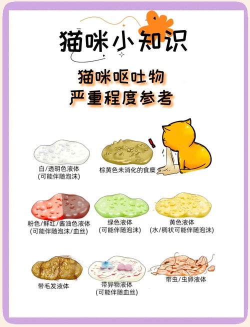 需要就医的猫咪异常呕吐物对比图