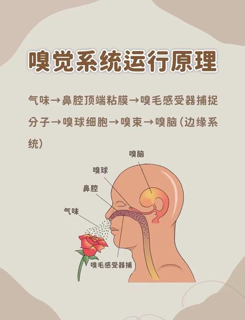 二、高级的芳香环境，靠的不是嗅觉轰炸
