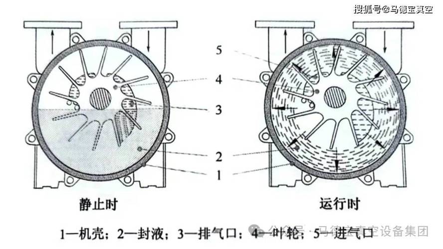 真空泵内部结构剖视图转子叶片