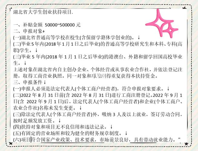 大学生创业扶持资金申请指南手册