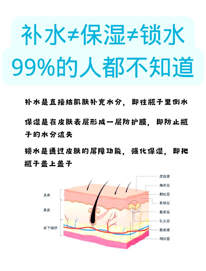 保湿的核心：锁水比补水重要得多