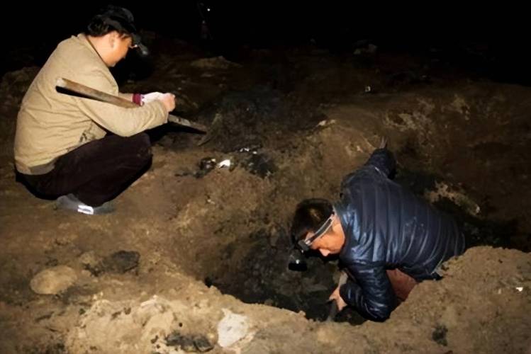 违规民间考古调查盗挖现场探洞