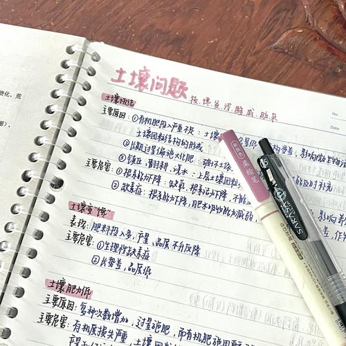 日常检查，我踩过的坑与总结的土法子