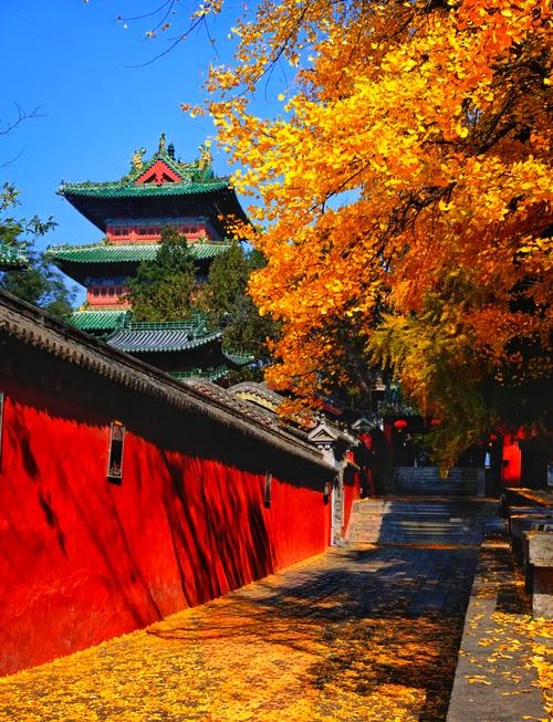 嵩山少林寺塔林秋日景观