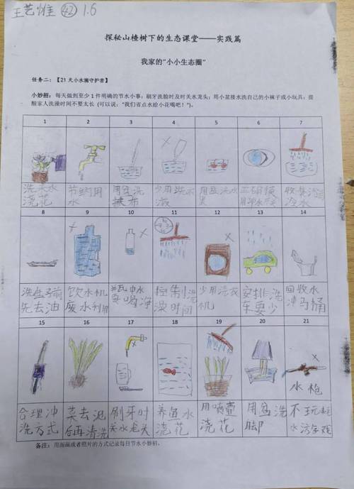 露水的生态账本