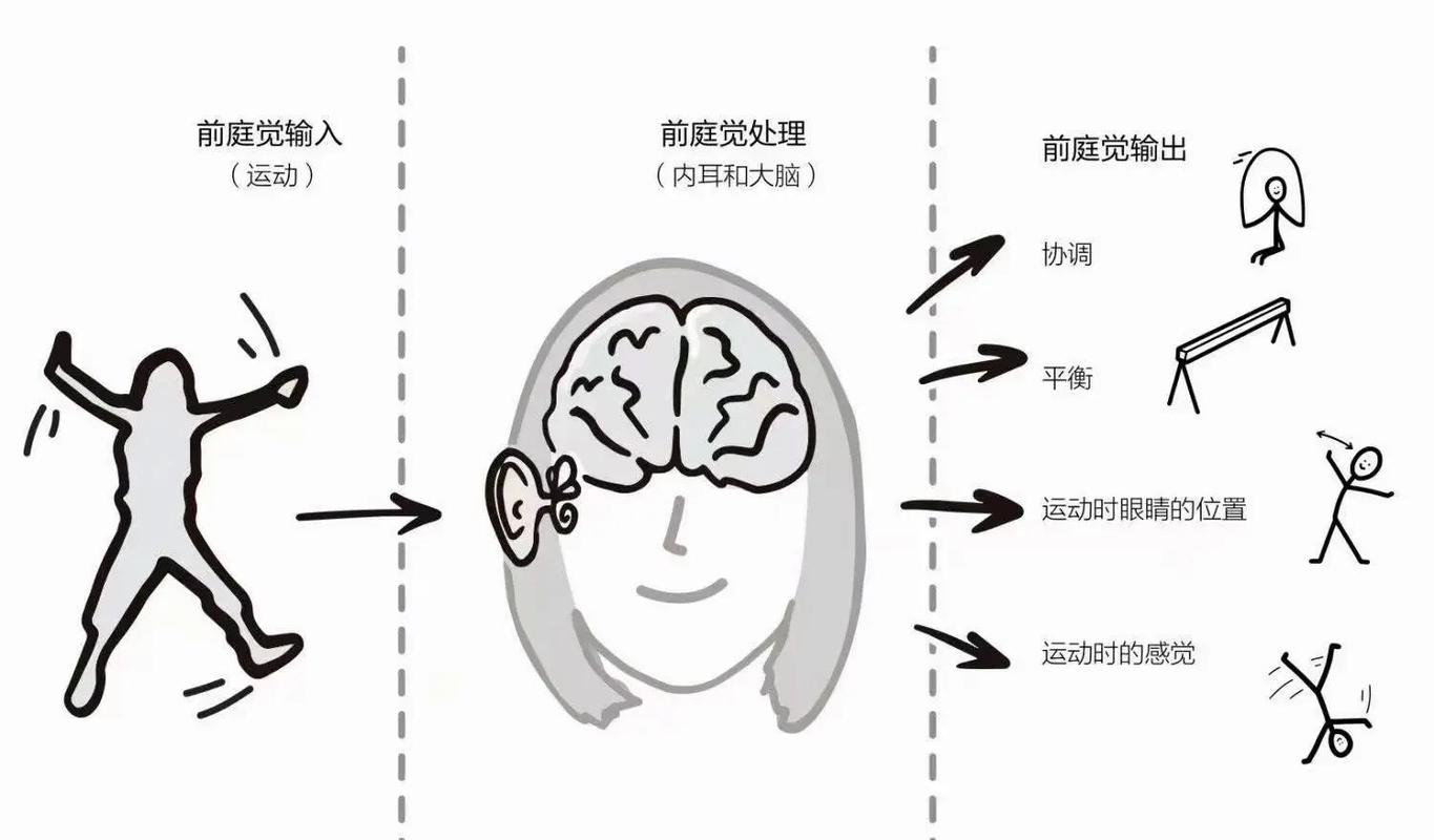 感统训练三大核心系统前庭本体触觉示意图