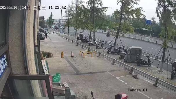 小区遛弯时伸缩牵引绳缠绕绊倒路人的场景实拍