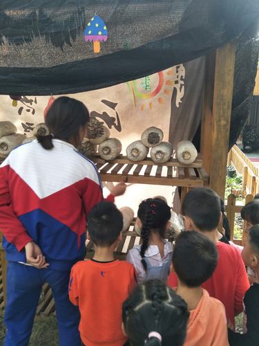 森林幼儿园老师带孩子认识野生蘑菇场景图