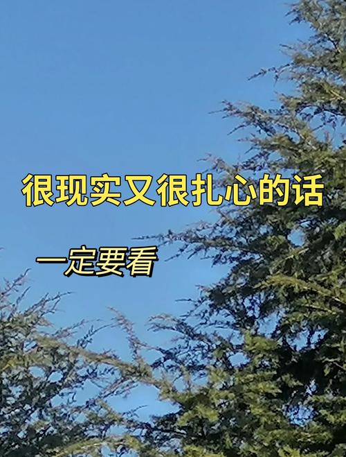 四、那些说不出口的扎心真相
