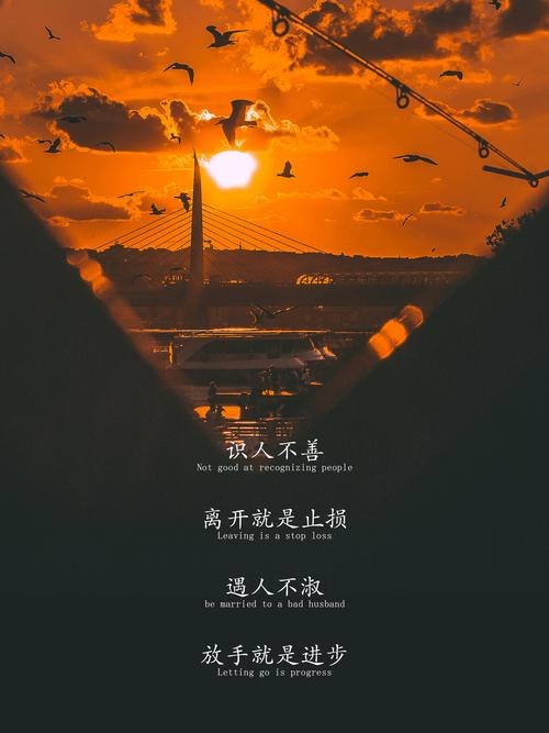 真遇上这种事,普通人按这三步应对就错不了