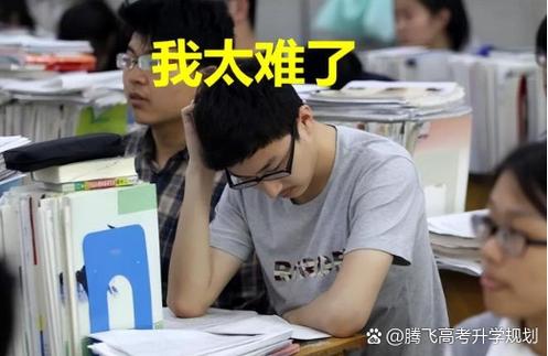 好文书是“改”出来的?错!——顶尖录取背后的反直觉逻辑-如东教育网