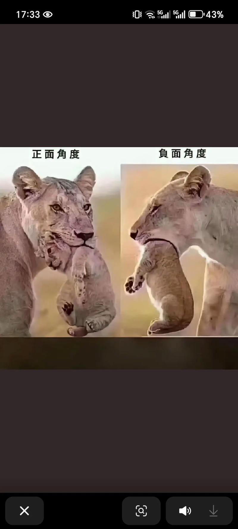 你以为你看见了,其实你只看见了你以为的