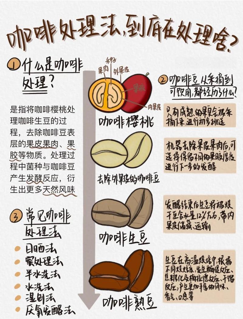 普通人在家存咖啡豆，其实没那么复杂